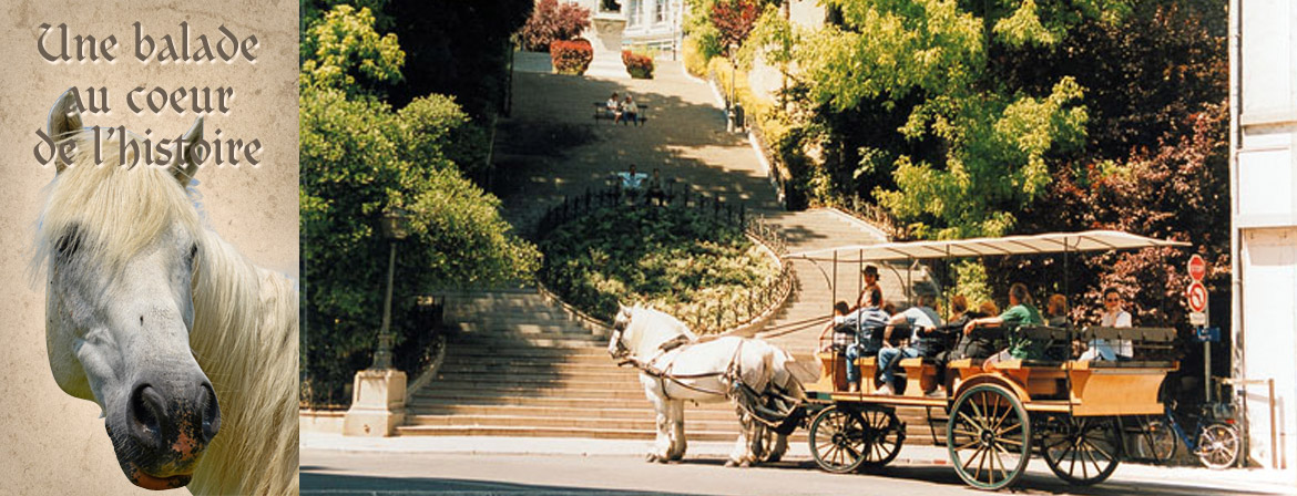 Location de calèche exceptionnel